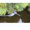 Tom McArthur - @tom_mcarthur_ - Twitter