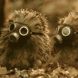 LivingNecklace's profile picture. #gamer #lover #fighter #sarcastic #fishwhisperer