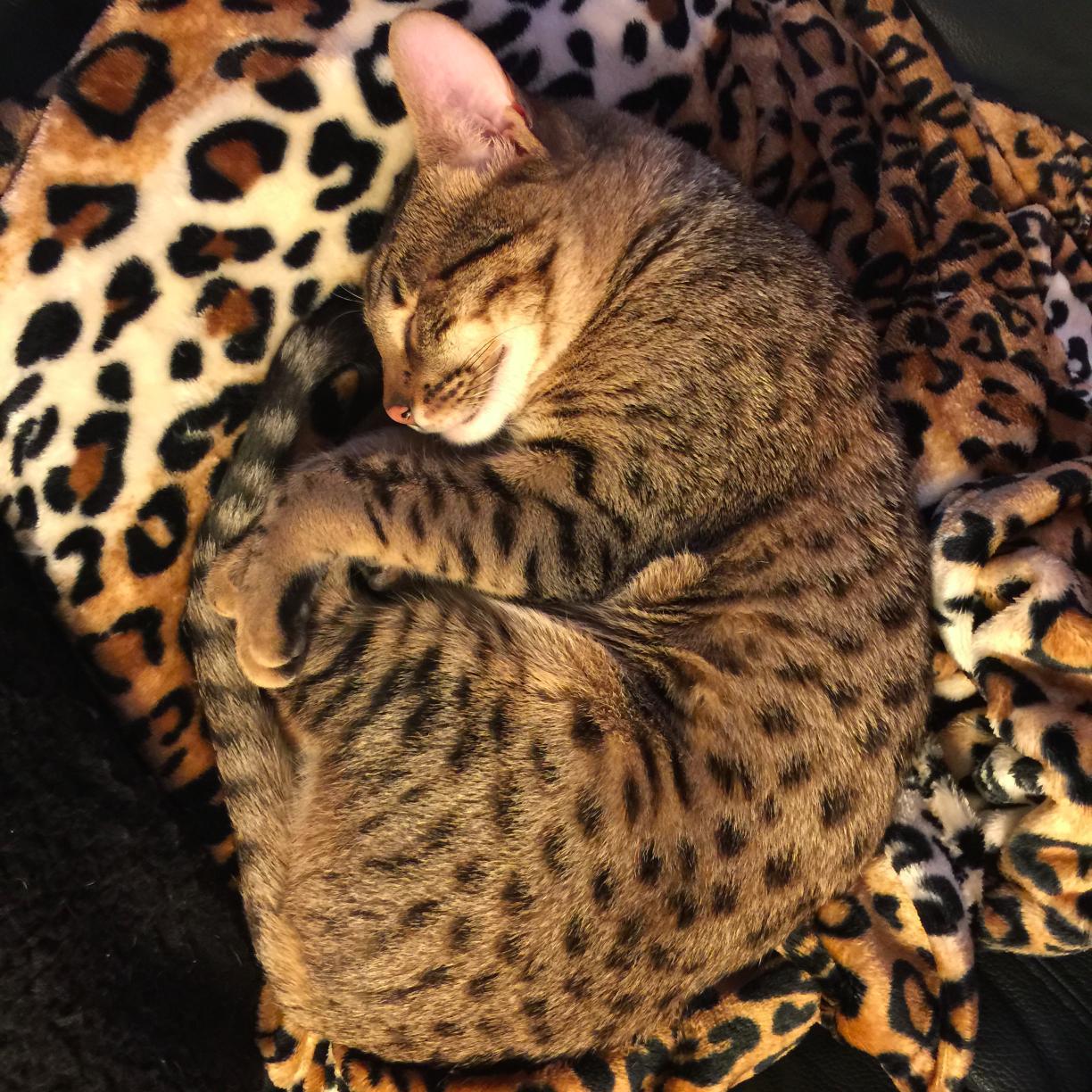 posconsulting's profile picture. I am taking a break from social media for a while. Come back later and who know?