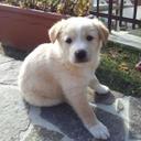 Cristina Turano (@0943d5f20a13430) Twitter