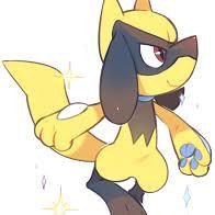 A young Riolu, who had a family but then got lost to be alone, he has now returned to see a changed world. He knows a cute and fluffy riolu who is his world