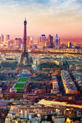 sukorkinalera's profile picture. люблю животных, люблю иностранные языки