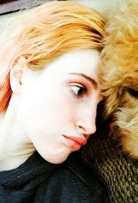 We Are Paramoreeee ★