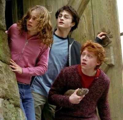 pottergirlHP's profile picture. potterhead girl
harry potter is my life