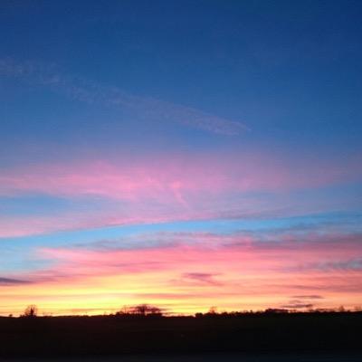 deesadlier's profile picture. Just doing my best!