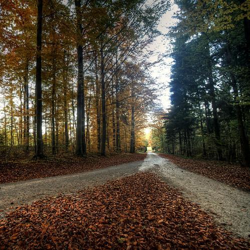 vladgepar's profile picture. 