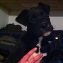 Catherine Mohan - @KittyKeogh12 - Twitter