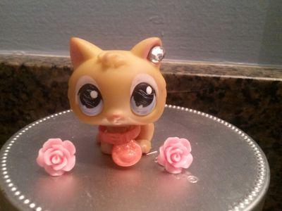 love warrior cats, lps, monster high and etc. follow me and join Ice clan im Snowstar