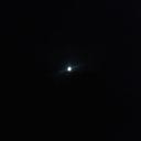 in Love  - @marlene_unger - Twitter