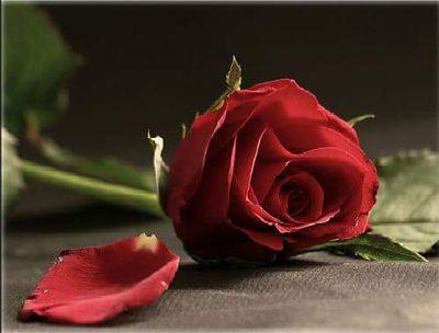 مَا أَعْظَمُ الحُبِّ حِينَ يَكُونُ الوَفَاءُ أَصْدَقَ مِنْ البَقَاءِ؛؛؛                                                 أنَا صَادِق حِينَ أهْتَمْ وَ حِينَ أُحِب