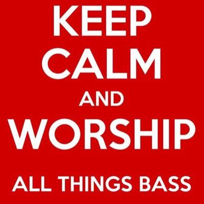 Rock Bassist