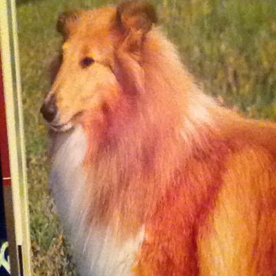 DavidGilgunn's profile picture. 