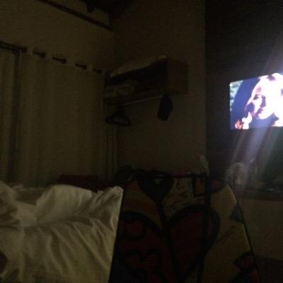 dallaxavoso's profile picture. 