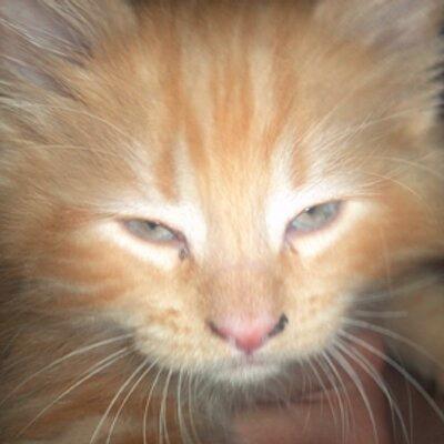 _STAGGSART's profile picture. 