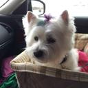 Jacquelyn Snow - @SnowKCMO - Twitter