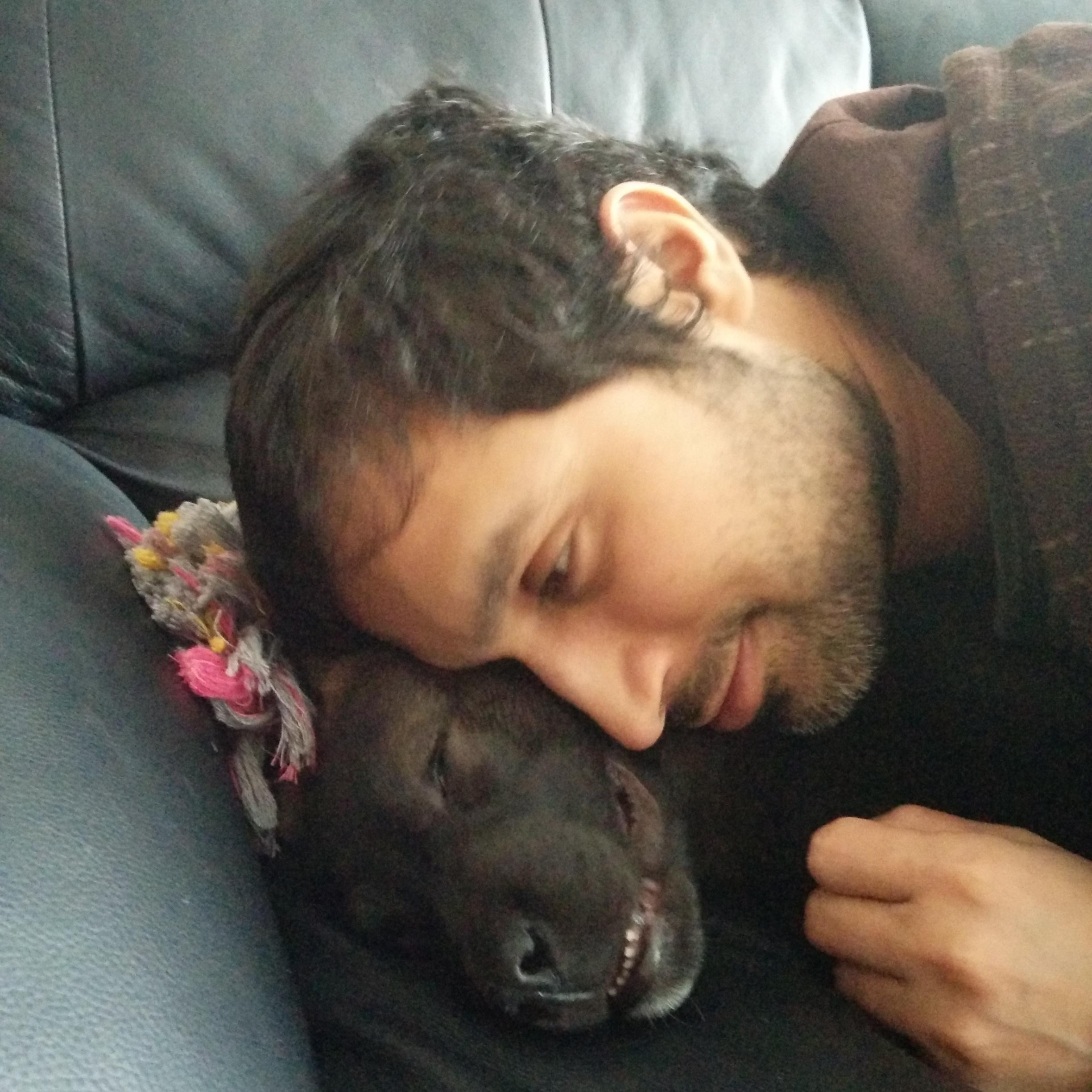 Computers, running, dog stuff, Toronto. Opinions my own, etc.