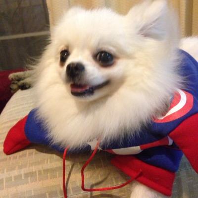 sawatdilod's profile picture. 