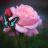 DebJordan07's profile image