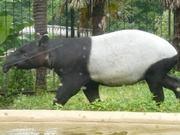 ogubuu2's profile picture. 