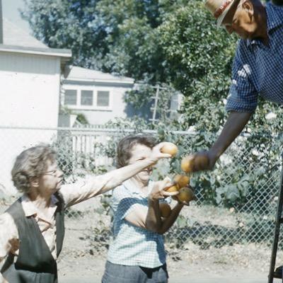 dislocatedslide's profile picture. 