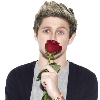 ~ a fan twitter supporting one direction|| follow me for updates from one direction||