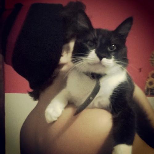 Olá meu nome e Tom... Sou um gato preto e branco!      Você gosta de gatos? Então venha me seguir no twitter.!