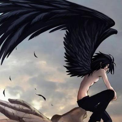 I am a fallen angel/I am 13 years old/I have fallen from heaven/my wings are a scorching black with blood red tips/I am a guy/I fell because I am gay/Im lonely/