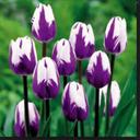 Stacy Caudill - @stacy_caudill - Twitter