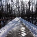 Donte Bell - @TroitAve - Twitter