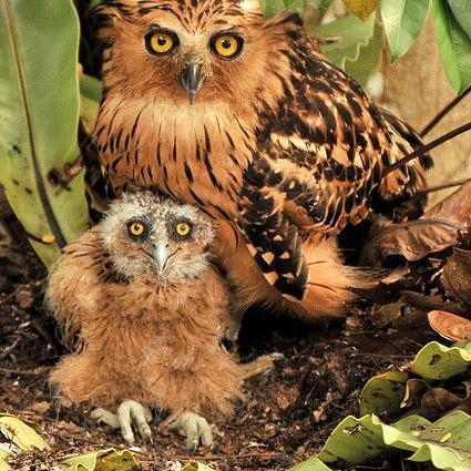 MosesMljb63's profile picture. 