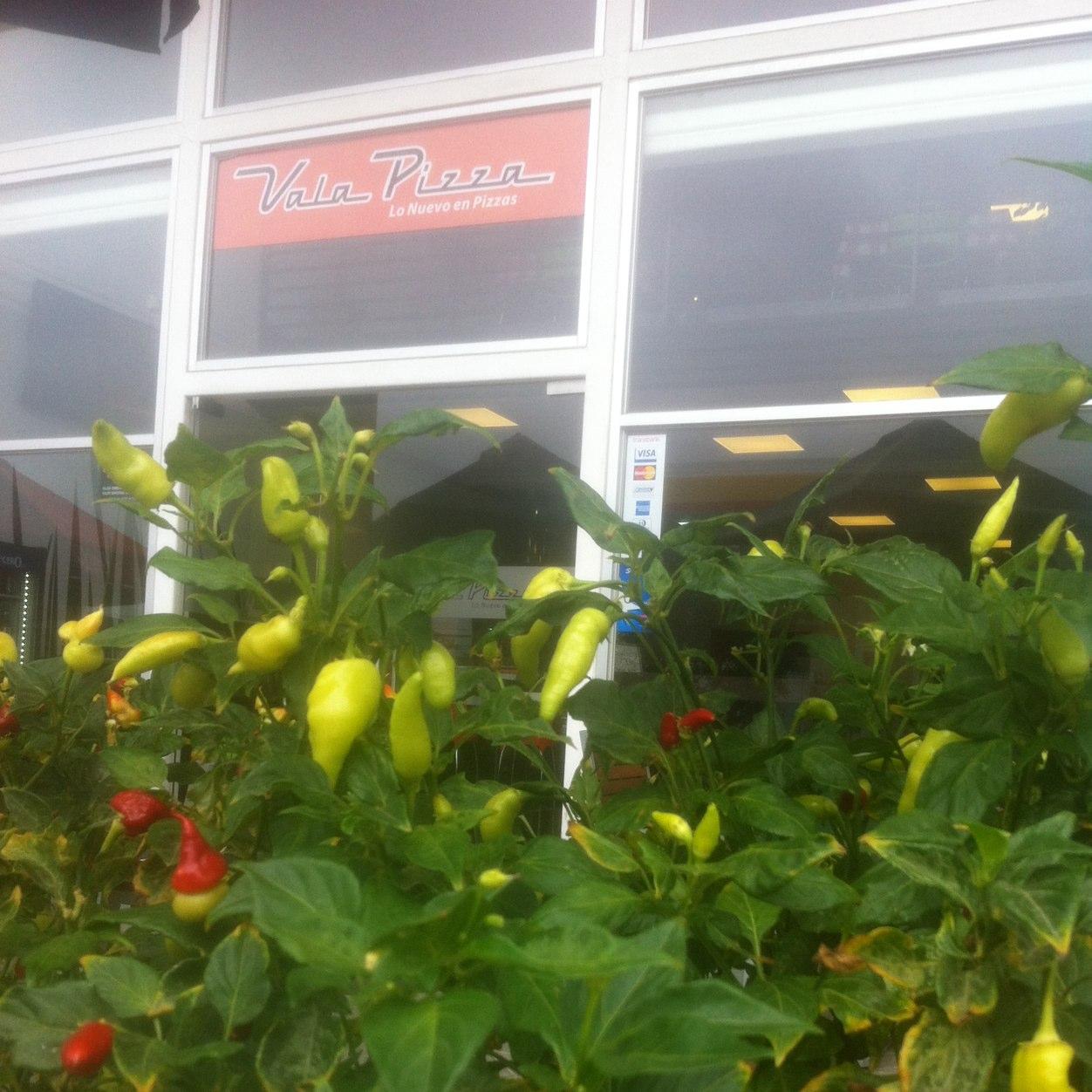 ValaPizza's profile picture. 