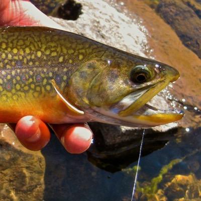 TroutChasersSRC's profile picture. Snake River Cutthroats youth club. Focused on conservation, fishing, and encouraging Idaho's youth to pursue a life of adventure.