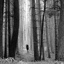 chris cooling - @Cooling978Chris - Twitter