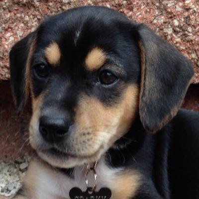 mom_sheri's profile picture. 