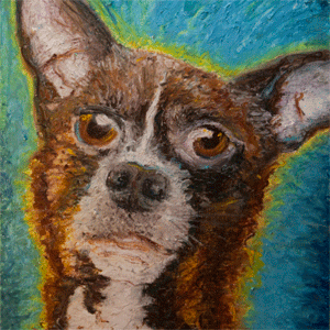 Original Van Gogh-style portraits celebrating your pets! I live in Oakland with my cat the Guster, and our roommate Shawn the cat. Can't wait to get a dog!