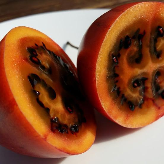 tamarillo