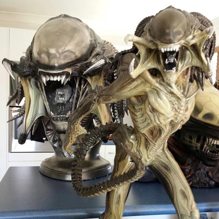 Collector of high end Predator and Alien statues, here are just a few of my smaller pieces. enjoy!