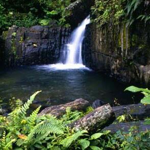 BresnahanMarie's profile picture. 