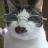 BobtailHair's profile image