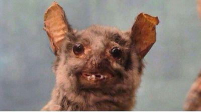 xLindonNewtonx's profile picture. 