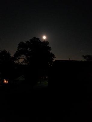 natehertlein's profile picture. 