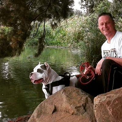 042db61963f943a's profile picture. Hi all I love my dogs and I breed with American  bully s and micro  bullys contract  me on +17803009298