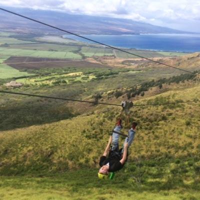 b_roy72's profile picture. 🐝