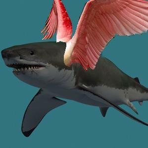 shark and bird facts from wikipedia combined.... i got confused. ~~~~~~~~~~~~~~~~~~~~~~~~~~~~~~~~ a fun experiement with languages.