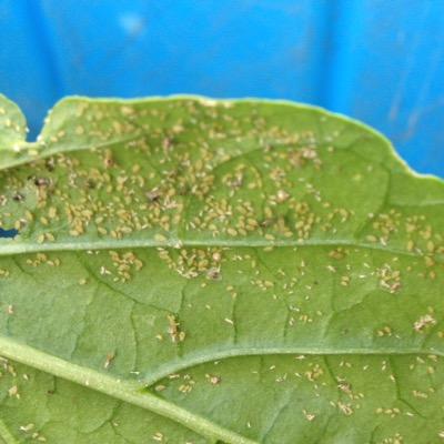 dampwells's profile picture. 