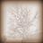 myhuronroots's profile image