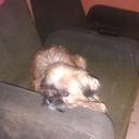Juaneco (@01Juaneco) Twitter