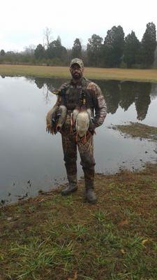 If it flies it gets the BOOM!!!!