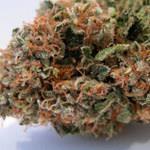 QM4LDelivery's profile picture. Open 24/7 QM4L strives to provide all of our patients with quality meds at that quantity price. Give us a call or text at (714)574-7278, (562) 340-2862.