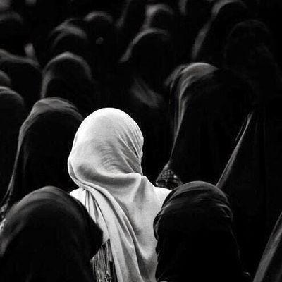 مختصر الحياة : ﴿ ثم إليهِ ترجعون ﴾.